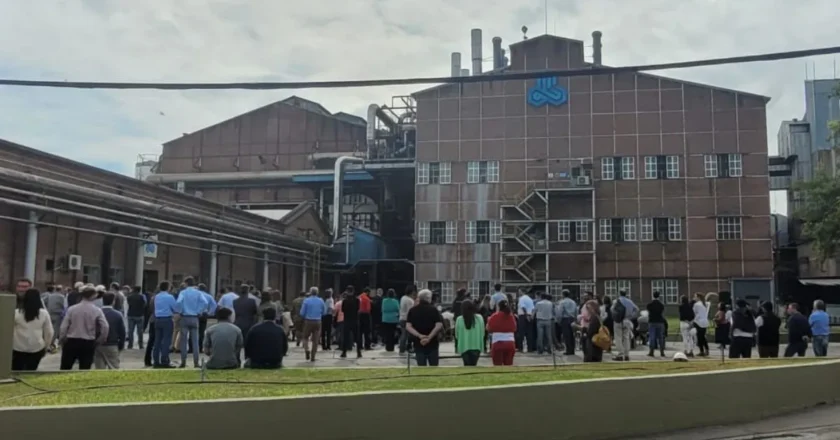 Zafra 2024: buen nivel de producción y exportación de azúcar y alcohol