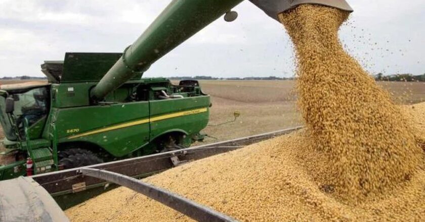 Se derrumba la soja y su precio es el más bajo de los últimos 18 años