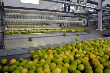 Por la escasez, aumenta el precio de los cítricos y hay preocupación en el mercado