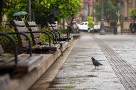 Hoy sería el último día de lluvias en Tucumán