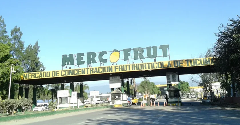 ¡Qué hijo de fruta!