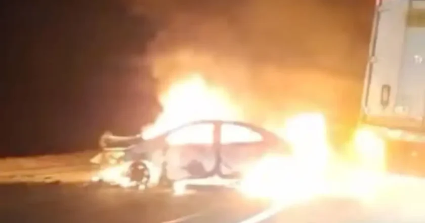 Horror en la ruta