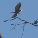 Tucumán, tierra de naturaleza viva