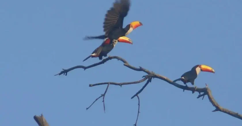 Tucumán, tierra de naturaleza viva