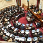 El Senado insistirá con la Ley de Emergencia en Discapacidad