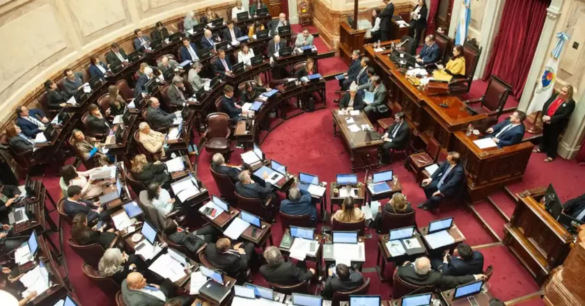 El Senado insistirá con la Ley de Emergencia en Discapacidad