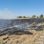 Azúcar quemada