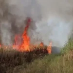 ¡Contaminados!