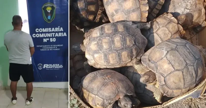 Con la cabeza adentro