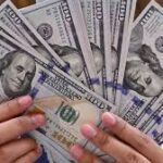¿Y el libre mercado?
