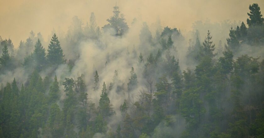 La Justicia confirma que el incendio en Chubut fue intencional y continúa la búsqueda de responsables