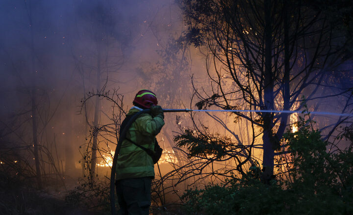 Incendios sin control en la Patagonia: Chubut atraviesa una de sus peores crisis ambientales en décadas