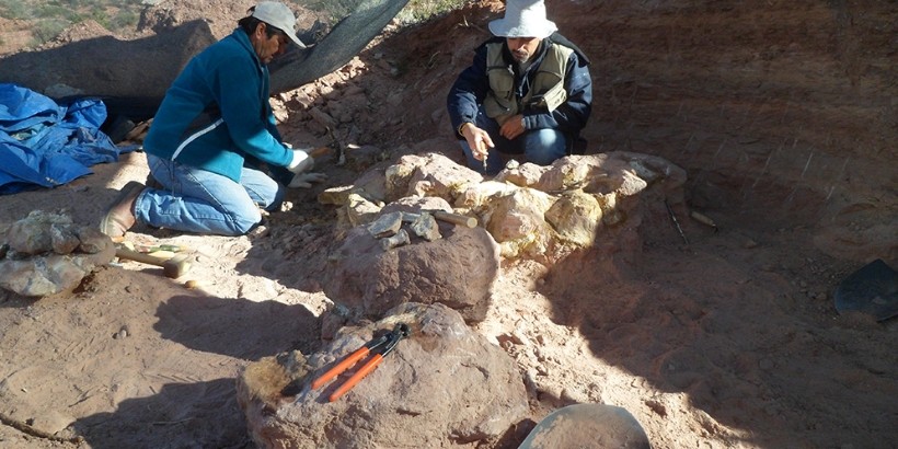 Un dinosaurio bautizado en honor a un Nobel argentino: el hallazgo en Neuquén que reescribe la historia de los gigantes del Cretácico