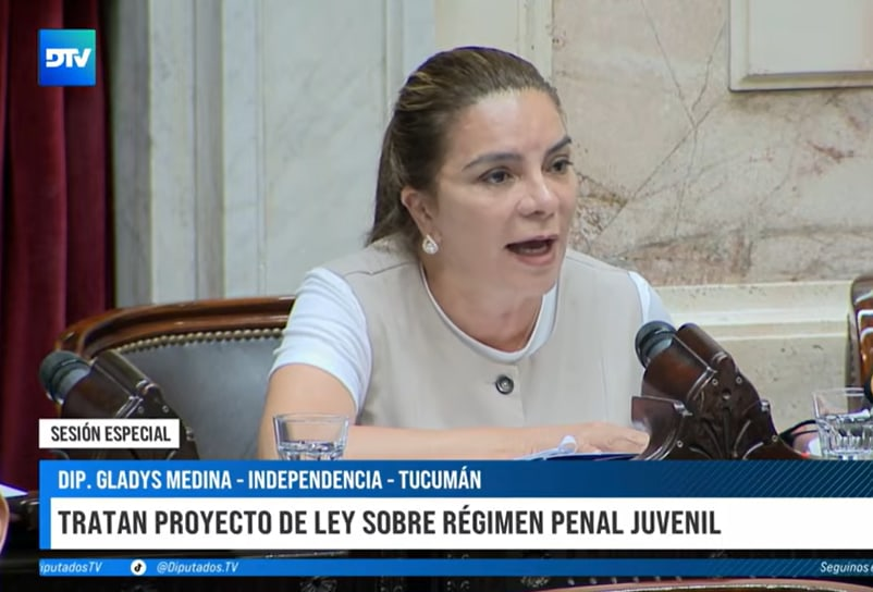 La diputada Gladys Medina defendió la baja de edad de imputabilidad y llamó a reforzar la presencia del Estado y las familias