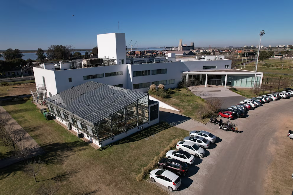 La crisis de Bioceres: ¿qué está pasando con la biotech argentina que llegó a Wall Street?