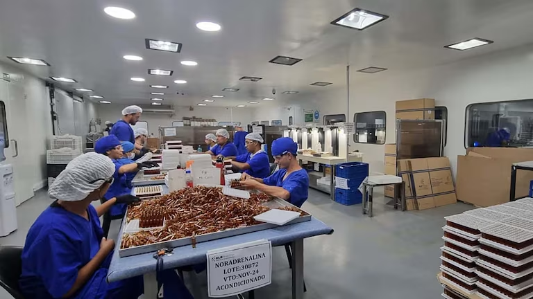 Causa fentanilo: la Cámara Federal ratificó detenciones y la investigación judicial entra en una etapa decisiva